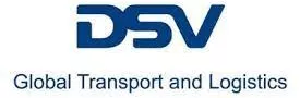 DSV logo