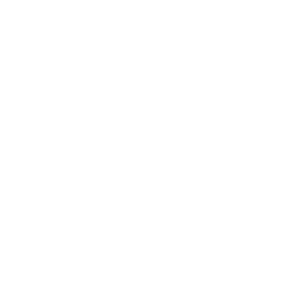 icon time management white