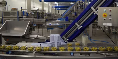 Pere Olive factory